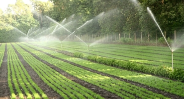 Thiết Bị Tưới Gia Lai – Giải Pháp Hiệu Quả Cho Nông Nghiệp Hiện Đại