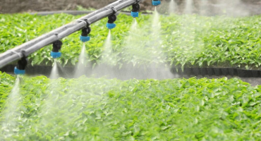 Mua Thiết Bị Tưới Ở Đâu Uy Tín Tại Đắk Lắk? Gợi Ý Địa Chỉ Đáng Tin Cậy