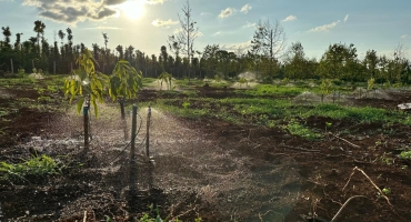 Hệ Thống Tưới Đắk Lắk – Giải Pháp Tưới Tự Động Tiết Kiệm & Hiệu Quả