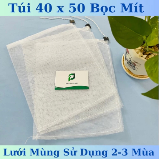 TÚI BAO TRÁI 40x50