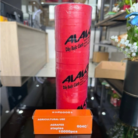 Combo 1 lốc dây 20 cuộn+ 1 hộp 10.000 ghim