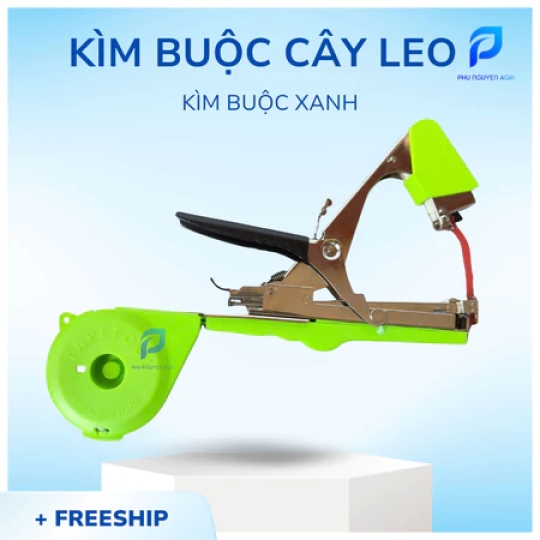 KÌM  XANH BUỘC CÂY LEO